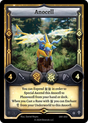 Anocell (DB1-053)