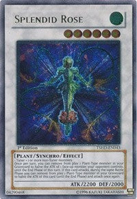 Splendid Rose (UTR) (TSHD-EN043)
