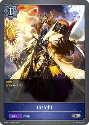 Insight (GFD01-051EN)