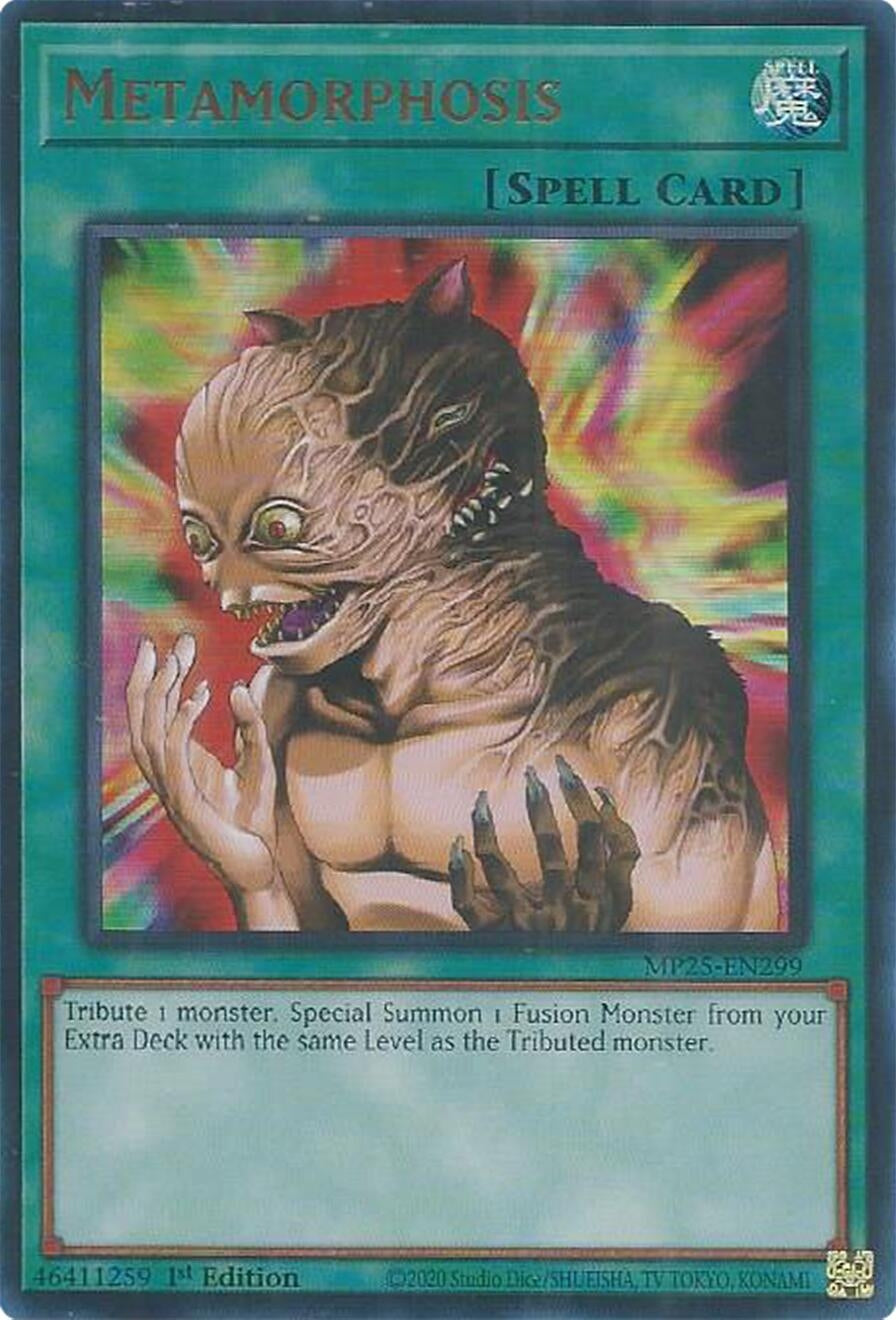 Metamorphosis (MP25-EN299)