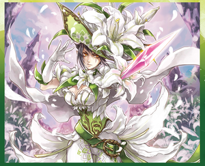 "Musketeer” Premium Deckset DZ-PS03