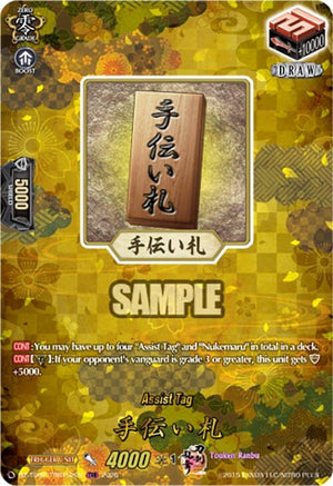 Assist Tag (TRR) (DZ-TB02/TRR152EN)