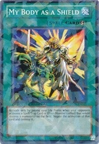 My Body as a Shield (DT05-EN041)